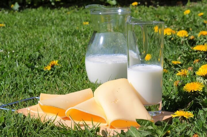 고단백-식품-우유