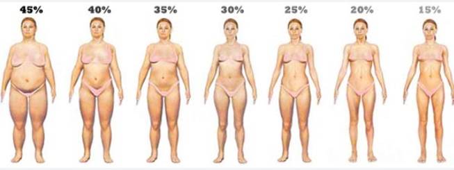여자-체지방률-몸매-사진